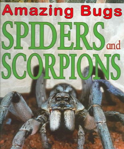 Spiders and scorpions / Anna Claybourne.