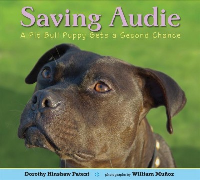 Saving Audie : a pit bull puppy gets a second chance / Dorothy Hinshaw Patent ; photographs by William Mu©łoz.