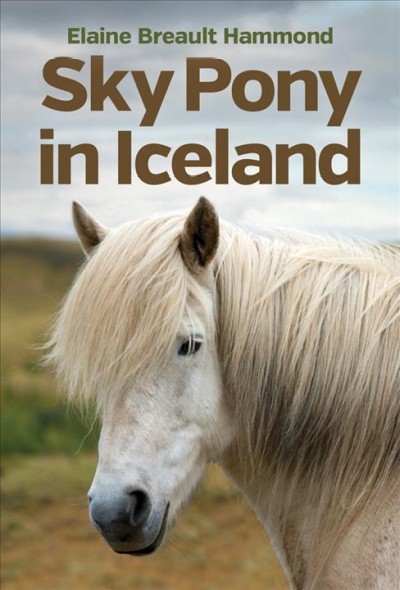 Sky pony in Iceland / Elaine Breault Hammond.