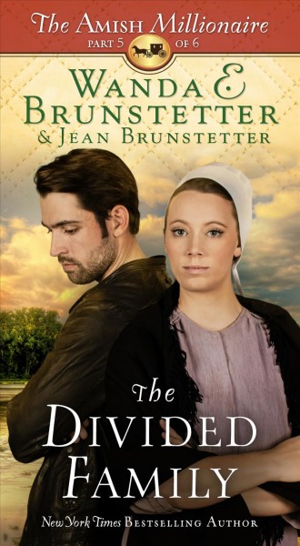 The divided family / Wanda E. Brunstetter and Jean Brunstetter.