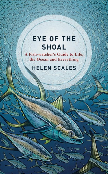 Eye of the shoal : a fishwatcher's guide to life, the ocean and everything / Helen Scales.