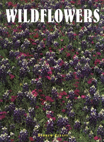Wildflowers / Andrew Cleave.