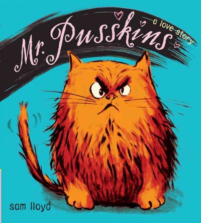 Mr. Pusskins : a love story / written and illustrated by Sam Lloyd.