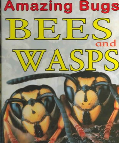Bees and wasps / Anna Claybourne.