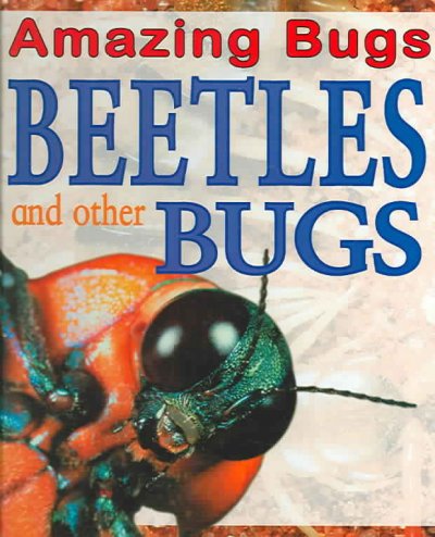 Beetles and other bugs / Anna Claybourne.
