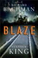 Go to record Blaze : a novel