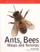 Ants, bees, wasps and termites  Cover Image