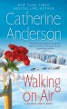 Go to record Walking on air : a Valance Family novel