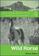 Wild horse  Cover Image